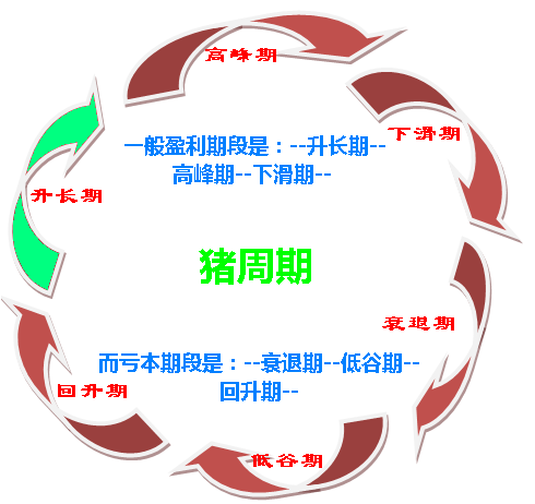 如何破解價格怪圈 化解“豬周期”風(fēng)險？