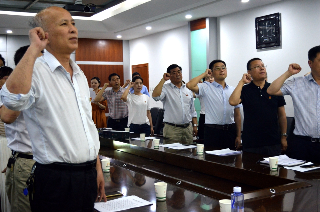 陽晨集團(tuán)黨支部舉行主題黨日活動